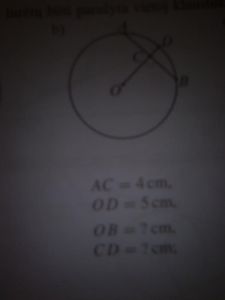 https://www.ematematikas.lt/upload/uploads/10000/3500/13571/thumb/p15q10f1o31dtp12be1shin0nkoe1.jpg
