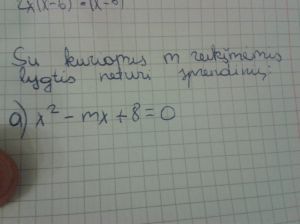https://www.ematematikas.lt/upload/uploads/20000/6500/26729/thumb/p179ns77lq1qbn1lc21c8f1upl127u1.jpg