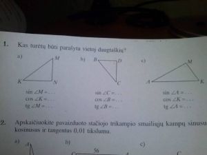 https://www.ematematikas.lt/upload/uploads/30000/1500/31684/thumb/p17k9gpggv1b8v61rctp10eijs11.jpg
