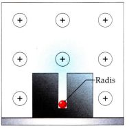 https://www.ematematikas.lt/upload/uploads/40000/8000/48062/thumb/p18dv531hb1aj6b6t1uk31i21nkk1.png